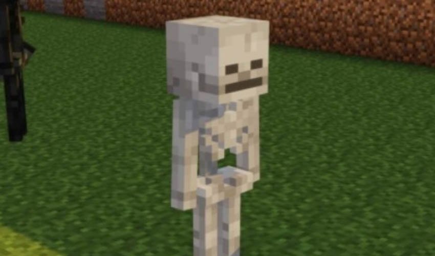 Minecraft Undead Mobs Skeleton