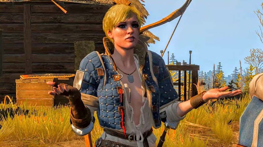 Witcher 3 Female Characters Ves