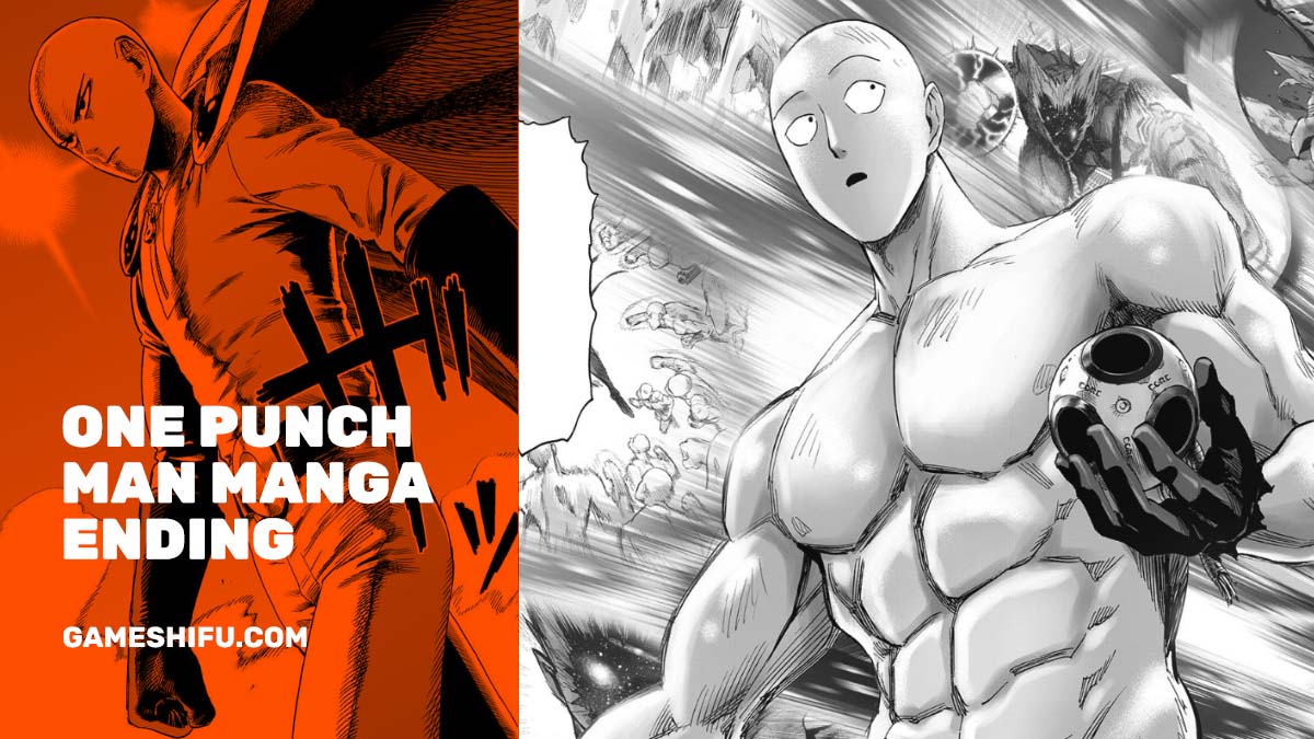 The King Faction : r/OnePunchMan