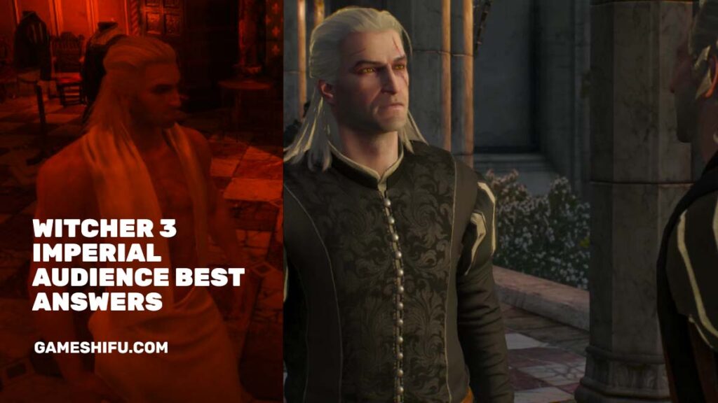 Witcher 3 Imperial Audience Best Answers